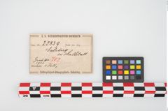 Etikett zu Bimetalllappenbeil (NHMW-PRAE-025839)